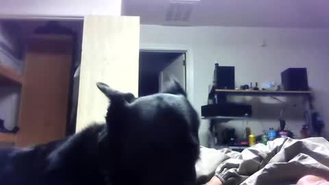 Snapshot of bigdickdaddy7201979564868 chatting on June 2026 06:40:02 AM bigdickdaddy7201979564868 online show from June 2026 06:40:02 AM