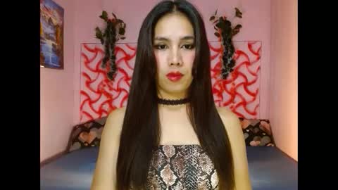 Snapshot of bigdickmistress4u chatting on March 2025 11:58:01 AM bigdickmistress4u online show from March 2025 11:58:01 AM
