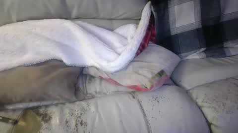 bigdicktrannynicole online show from January 2025 02:11:01 AM