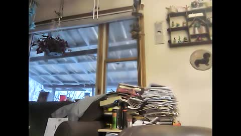 bigelectricrod online show from January 2025 12:31:02 PM