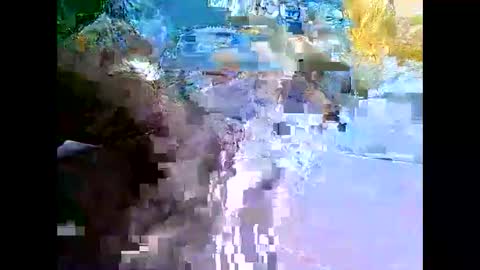 Snapshot of bigfatarabzobrr1994__ chatting on December 2024 02:41:02 AM Mr Alpha online show from December 2024 02:41:02 AM