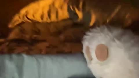 Snapshot of biggahhdihhh chatting on April 2026 09:26:01 AM biggahhdihhh online show from April 2026 09:26:01 AM