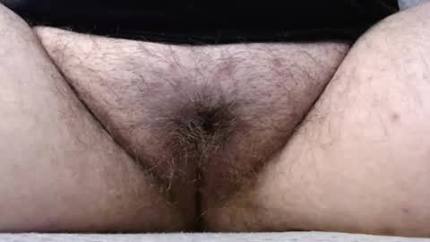 Snapshot of bighairyabby chatting on May 2026 04:15:02 PM Abby online show from May 2026 04:15:02 PM