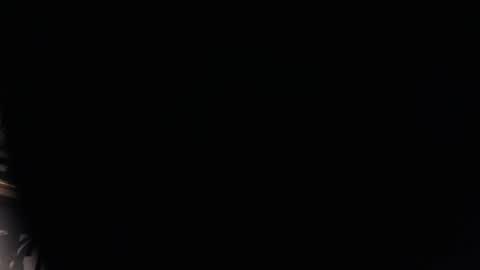 Snapshot of bigjohnofthewood chatting on January 2025 09:47:02 PM BigJohnOfTheWoods online show from January 2025 09:47:02 PM