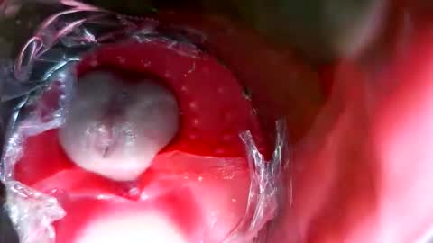 Snapshot of bigmoneycorey chatting on March 2026 07:31:02 PM bigmoneycorey online show from March 2026 07:31:02 PM