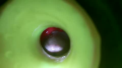 Snapshot of bigmoneycorey chatting on April 2026 07:11:02 PM bigmoneycorey online show from April 2026 07:11:02 PM