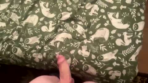 Snapshot of bigpapabeard chatting on April 2026 06:38:01 PM bigpapabeard online show from April 2026 06:38:01 PM