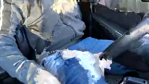 bigredmushr00m online show from December 2024 10:39:02 AM