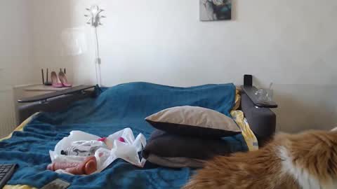 Snapshot of bigtwinsomg chatting on March 2026 07:36:02 AM BigTwinsOmg online show from March 2026 07:36:02 AM