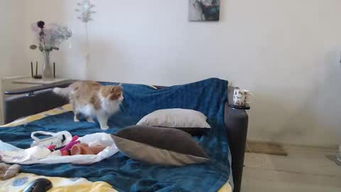 Snapshot of bigtwinsomg chatting on March 2026 06:50:01 AM BigTwinsOmg online show from March 2026 06:50:01 AM