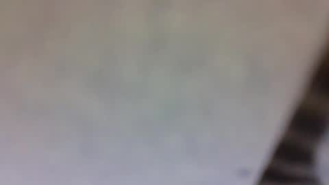 Snapshot of billmenow141 chatting on March 2025 10:59:02 AM billmenow141 online show from March 2025 10:59:02 AM