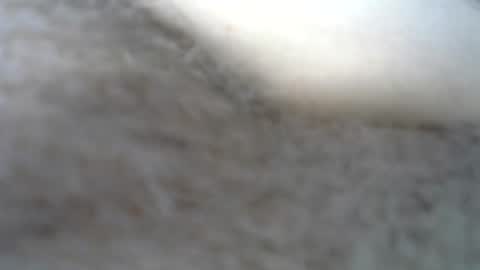 Snapshot of billpark20 chatting on May 2026 02:30:02 AM billpark20 online show from May 2026 02:30:02 AM