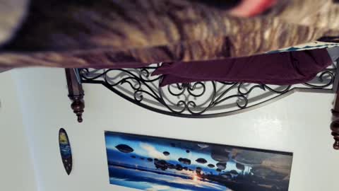 Starlyte online show from March 2025 08:40:01 PM