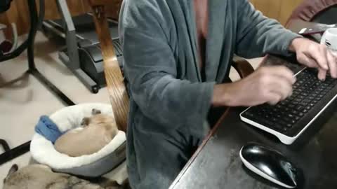 billy471 online show from November 2025 03:12:02 PM