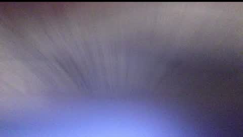 Danny online show from December 2024 04:31:02 AM