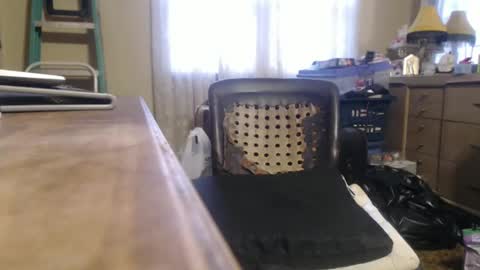 Snapshot of bimbttm chatting on December 2024 01:00:02 PM Bimbttm online show from December 2024 01:00:02 PM