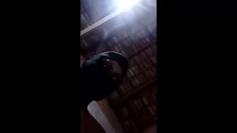 Snapshot of bittencourtgabriel chatting on April 2026 03:09:02 AM bittencourtgabriel online show from April 2026 03:09:02 AM