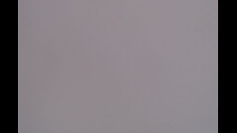 bivi  hot online show from January 2025 12:26:02 PM