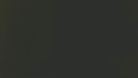 Bill online show from December 2024 03:15:01 AM