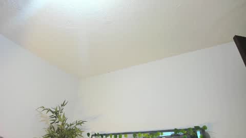 B L A C K  R O S E  online show from January 2025 11:35:01 AM