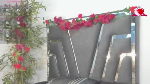 B L A C K  R O S E  online show from February 2025 11:31:01 AM