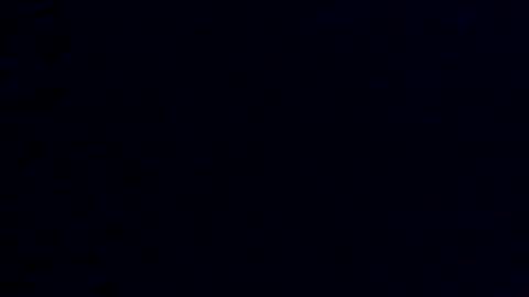 Crystal online show from January 2025 01:32:01 PM