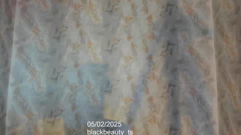 Snapshot of blackbeauty_ts chatting on February 2025 02:59:01 PM Nina online show from February 2025 02:59:01 PM