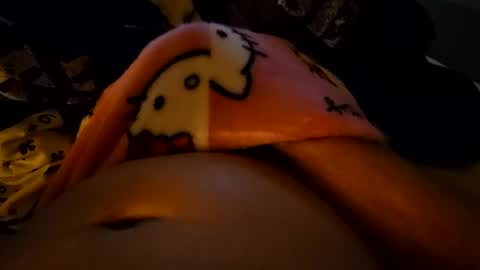 blackcock9329 online show from August 2026 03:58:01 PM