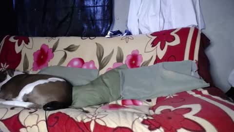 Snapshot of blackpanter_13 chatting on September 2025 11:48:01 AM Black Panther online show from September 2025 11:48:01 AM