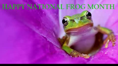 Snapshot of blacksirenqueen chatting on April 2026 08:26:01 AM Queen Siren online show from April 2026 08:26:01 AM