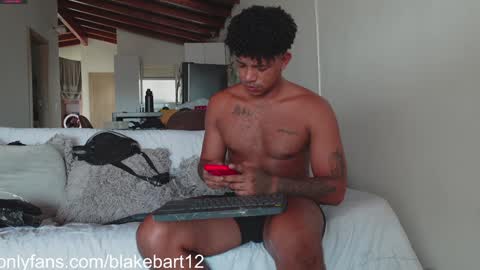 Snapshot of blakemate chatting on January 2025 07:15:01 PM BLAKE BART Help us reach 100 likes online show from January 2025 07:15:01 PM