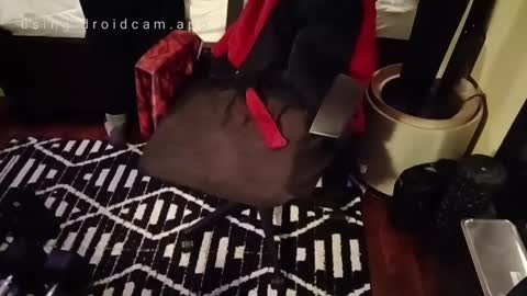 Blackjag00 online show from February 2025 10:06:02 AM