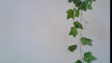 Snapshot of blaq_melanin chatting on March 2026 06:50:01 AM nikky00 online show from March 2026 06:50:01 AM