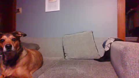 blaw_1321 online show from October 2025 07:20:02 AM