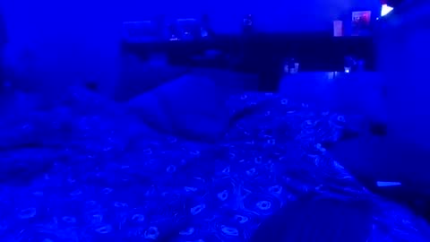 blaze2472 online show from May 2026 02:36:01 PM