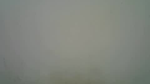 Black  brown online show from November 2025 05:18:02 AM