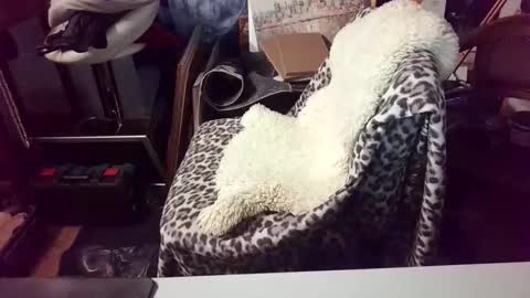 Snapshot of blindsurfer780299 chatting on March 2026 05:13:02 AM blindsurfer780299 online show from March 2026 05:13:02 AM