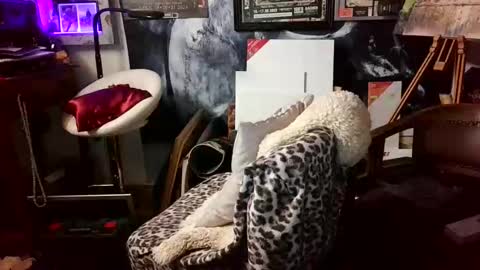 Snapshot of blindsurfer780299 chatting on March 2026 05:08:01 AM blindsurfer780299 online show from March 2026 05:08:01 AM