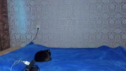 bloemetjes online show from October 2025 11:35:01 PM