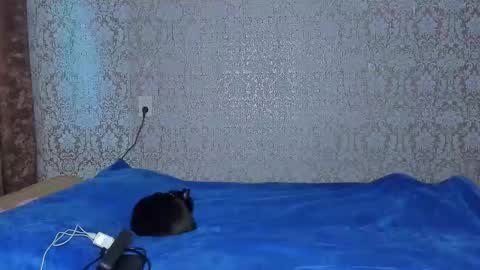 bloemetjes online show from October 2025 10:00:02 PM