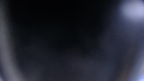 Snapshot of blue_morningstar chatting on October 2025 01:43:02 PM bunbury online show from October 2025 01:43:02 PM