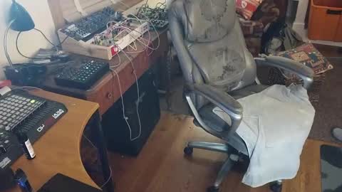 Snapshot of bnitehawk1234 chatting on September 2025 07:31:01 AM harry cockins online show from September 2025 07:31:01 AM