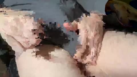 Snapshot of bobbyboobycummy chatting on March 2025 01:53:02 PM Heath online show from March 2025 01:53:02 PM