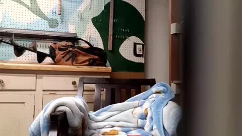 Snapshot of bobmarleybd1420 chatting on April 2026 10:08:02 AM bobmarleybd1420 online show from April 2026 10:08:02 AM