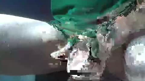 bogey58 online show from December 2024 02:09:01 PM