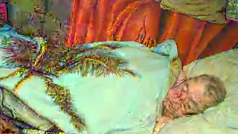 Snapshot of bomber59potsdam chatting on January 2025 07:53:01 PM Bomber59potsdam online show from January 2025 07:53:01 PM