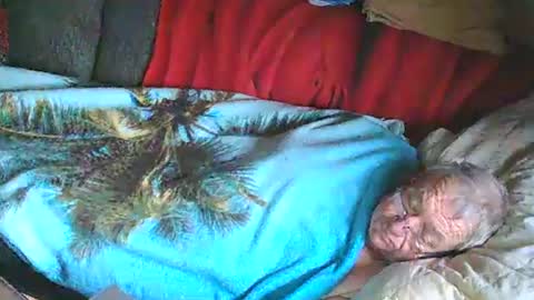 Snapshot of bomber59potsdam chatting on January 2025 11:02:02 AM Bomber59potsdam online show from January 2025 11:02:02 AM