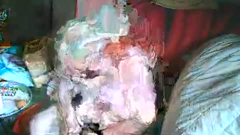 Snapshot of bomber59potsdam chatting on March 2025 10:35:01 AM Bomber59potsdam online show from March 2025 10:35:01 AM