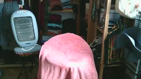 Snapshot of bombero5656 chatting on December 2025 03:16:02 PM Bombero56 online show from December 2025 03:16:02 PM