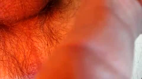 Snapshot of bonnie312 chatting on September 2025 04:09:05 PM bonnie312 online show from September 2025 04:09:05 PM